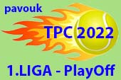 ico TPC2022 divizeskupinytabulky