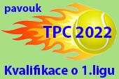ico TPC2022 divizeskupinytabulky