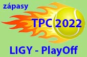 ico TPC2022 divizeskupinytabulky