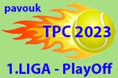 ico TPC2023 divizeskupinytabulky