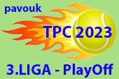 ico TPC2023 divizeskupinytabulky