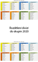 ico rozdeleni divize