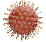 virus2
